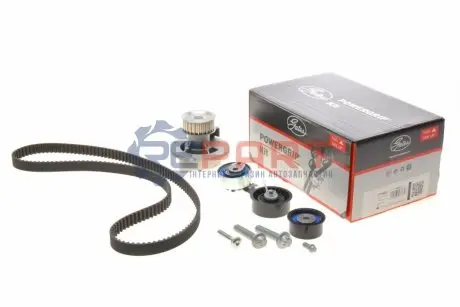 Комплект ГРМ (ремінь + ролик + водяний насос) CHEVROLET ASTRA OPEL ASTRA G, ASTRA H, ASTRA H GTC, CORSA C, MERIVA A, SIGNUM, TIGRA, VECTRA B, VECTRA C, VECTRA C GTS, ZAFIRA A 1.6/1.8 10.95-12.10 Gates KP15499XS2 Купити в Україні