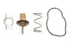 Термостат Renault Kangoo/Megane III/IV/Scenic III/IV 1.5dCi 09- (83°C) TH51883G1