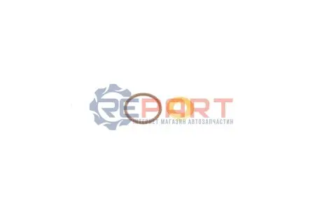 Ремкомплект форсунки Honda Accord/Civic/CR-V/FR-V 2.2 CTDi 04 GAZO GZ-A1033 Купити в Україні