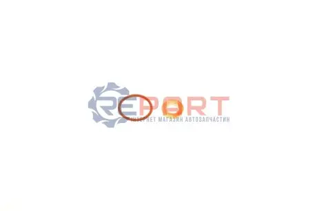 Ремкомплект форсунки GAZO GZ-A1126 Купить в Украине
