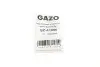 Болт кріплення форсунки Citroen Jumper/Peugeot Boxer/Fiat Ducato 2.2 HDi 11 GAZO (GZ-A1806) зображення 2