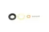 Фото Ремкомплект форсунки Fiat Scudo 1.6 D Multijet 07-16 (к-кт на 4 шт) GAZO (GZ-A1935) зображення 1