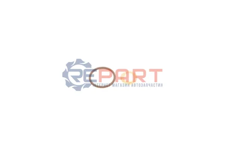 Шайба під форсунку Volvo XC60/XC60/V60 2.0 07-16 (+ущільнювач) GAZO GZ-A2035 Купити в Україні