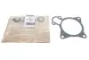 Фото Прокладка помпи води Citroen Jumper/Fiat Ducato/Peugeot Boxer 3.0 HDi 06 GAZO (GZ-A2037) зображення 1