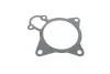 Фото Прокладка помпи води Citroen Jumper/Fiat Ducato/Peugeot Boxer 3.0 HDi 06 GAZO (GZ-A2037) зображення 3