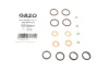 Ремкомплект форсунки Opel Astra G 2.0-2.2 DI 98-05 (к-к-т на 4шт) GAZO (GZ-A2051) зображення 1