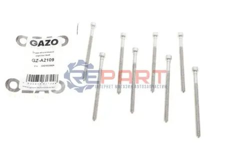 Болт кріплення форсунки VW Caddy 2.0TDI 04-15 GAZO GZ-A2109 Купити в Україні