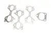Фото Колектор випускний BMW X5 (E53) 3.0d (M57) 00-07 (к-кт) GAZO (GZ-E1277) зображення 4