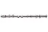 Фото Розподільний вал VW Golf VI/Polo V 2.0R 09-14 (випуск) GAZO (GZ-F1672) зображення 1