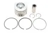 Поршень Citroen C3/C4/Berlingo/Peugeot 308/508/Partner 1.6 BlueHDi 14- (75.00mm/STD) GAZO (GZ-F1691) изображение 1