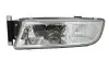 Фото Протитуманна фара Лів (H3/H4) MAN TGS I, TGX I 09.07 GIANT (131MA50220AL) зображення 1
