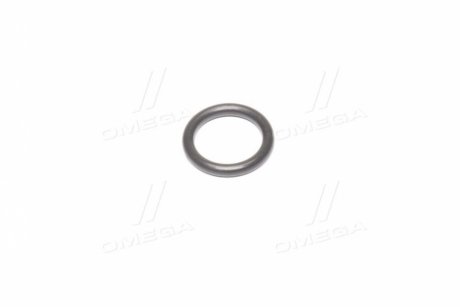Уплотнительное кольцо GM 94535515 (фото 1)