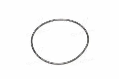 Фото Ущільнююче кільце водяного насоса GM (94580509) зображення 1