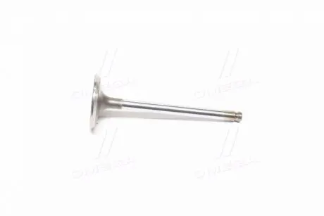 Клапана впускні GM 96182934 Купити в Україні
