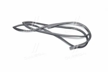 Ущільнювач автомобільного скла гумовий GM 96314513 Купити в Україні