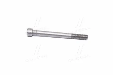 Болт головки двигателя GM 96416362 Купити в Україні