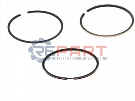 80 (STD) 2,5-2-231 Комплект поршньових кілець ARO CARPAT NISSAN INTERSTAR, PRIMASTAR RENAULT CLIO II, LAGUNA I, MEGANE I, MEGANE I CLASSIC, MEGANE I COACH, MEGANE SCÉNIC 1.9D 03.97- RENAULT GOETZE 0810150000 Купити в Україні