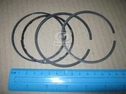 78,1 (+0,5) 1,5-26-3 Комплект поршньових кілець OPEL ASTRA F, ASTRA F CLASSIC, ASTRA G, COMBO, CORSA A, CORSA A TR, CORSA B, CORSA C, KADETT E, KADETT E COMBO, TIGRA 1.4/1.4LPG 04.88-12.09 OPEL GOETZE 0830710700