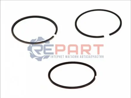 80 (STD) 2,5-2-231 Комплект поршньових кілець RENAULT ESPACE IV, GRAND SCENIC II, GRAND SCENIC III, LAGUNA I, LAGUNA II, MEGANE, MEGANE II, MEGANE III, SCENIC II, SCENIC III 1.9D 10.97- RENAULT GOETZE 0842230000
