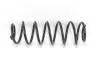 Пружина задня FORD FIESTA V/FIESTA V Van 01- D10/108  L336 L/R RP1185
