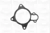 Помпа води Citroen Jumper/Peugeot Boxer 3.0HDi/Fiat Ducato 2.3D/3.0D/Iveco 06- (R/B) (7 лоп) (6 кан) GRAF (PA1026) зображення 1