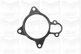 Помпа води Citroen Jumper/Peugeot Boxer 3.0HDi/Fiat Ducato 2.3D/3.0D/Iveco 06- (R/B) (7 лоп) (6 кан) GRAF PA1026