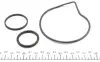 Фото Помпа води Citroen C4/C5/C8/Jumpy/Fiat Scudo/Peugeot 206/307/406 1.8/2.0/2.2 99- (20z) (R/B) (6 лоп) GRAF (PA1044) зображення 2