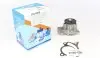 Помпа води Renault Clio/Scenic/Megane/Kangoo/Nissan Qashqai/Juke 0.9-1.2-1.4TCe/1.6 09- (B/B)(8 лоп) PA1065