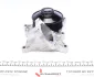 Помпа води BMW 5 (F10/F11)/7 (F01-04)/X5 (E70)/X6 (E71/E72) 2.0d-3.0d 09- (B/B) (6 лоп) (7 кан) GRAF (PA1116) зображення 6