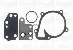 Помпа води Ford Transit VII/VIII 2.4DI/TDCi/TDE 00-14 (R/B) (8 лоп.) (7 кан.) GRAF PA1121 Купити в Україні