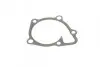 Фото Помпа води Citroen C4/Mitsubishi Lancer VIII/Outlander/Peugeot 4007 1.8/2.0/2.4/4WD 08- (B/B)(6 лоп) GRAF (PA1135) зображення 8
