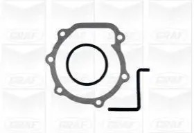 Помпа води Subaru Impreza/Legacy 2.0 R 07-12 (R/B) (8 лопастей) GRAF PA1169