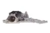 Фото Помпа води MB E-class (W212)//S-class (W221)/M-class (W166)/GLE/CLS/G/GL 4.7 M278/5.5 M157 11-19 GRAF (PA1560) зображення 4