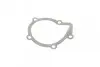Помпа води Peugeot 205/305/306/309/405 1.7D/1.8TD/XDT/1.9D/TD/SRDT/STD 86-02 (20z) (B/B) (7 лоп) GRAF (PA393) зображення 7