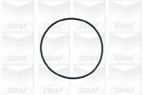 Помпа води Opel Astra F/Kadett E/Vectra A 2.0i 87-95 GRAF PA409