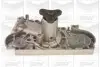 Насос води GRAF (PA439) изображение 1