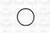 Фото Помпа води BMW 3/5/7 318tds/325td/tds/525td/tds/725tds 91-04/Opel Omega B 2.5D/TD 94- (R/B) (7 лоп.) GRAF (PA502A) зображення 1