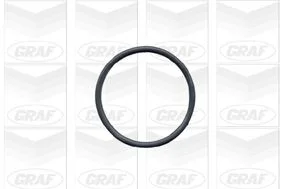 Помпа води GRAF PA502A