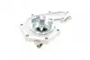 Фото Помпа води Renault Kangoo/Master/Laguna/Megane/Opel Movano 1.8/1.9dCi/dTi/D/2.0 95-03 (R/B)(8лоп) GRAF (PA531) зображення 3