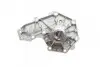 Фото Помпа води Renault Kangoo/Master/Laguna/Megane/Opel Movano 1.8/1.9dCi/dTi/D/2.0 95-03 (R/B)(8лоп) GRAF (PA531) зображення 5