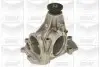 Помпа води MB E-class (W124)/S-class (W140/C140)/SL-class (R129) 4.2/5.0 89-01 (B/B) (8 лоп) GRAF (PA578) зображення 1