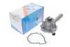 Фото Помпа води MB C-class (W202)/E-class (W124/W210) 1.8-2.2 92-02/Ssangyong Rexton 2.3 02- (B/B)(4 лоп) GRAF (PA582) зображення 2