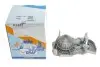 Фото Помпа води Renault Kangoo/Megane/Clio 1.4/1.4i/1.4e 96- (20z) (B/B) (8 лоп) GRAF (PA633) зображення 5