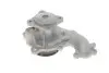 Фото Помпа води Ford C-Max I/Focus I/II/Mondeo/Transit/Tourneo Connect 1.8DI/TDCi/TDDi 99- (R/B) (6 лоп.) GRAF (PA742) зображення 4