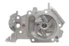 Помпа води Renault Clio 01-/Kangoo 01-/Twingo 1.2 16V 01- (B/B) (6 лоп) GRAF (PA820) зображення 4