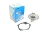 Помпа води Renault Kangoo/Megane/Scenic/Clio/Nissan Almera/Kubistar/Micra 1.5dCi 01- (B/B) (10 лоп) PA821