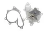 Фото Помпа води Nissan X-Trail/Almera/Primera 2.2dCi/Di 00- (R/B) (8 лоп) GRAF (PA823) зображення 1