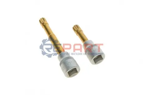 Насадка 2 шт, розмір гнізда: 1/2" профіль: SPLINE / XZN, розмір SPLINE / XZN: M12 HAZET 2584-12/2 Купити в Україні