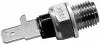 Фото Датчик температури оливи FORD GALAXY I SEAT ALHAMBRA, CORDOBA, IBIZA II SKODA OCTAVIA I VW BORA I, GOLF II, GOLF III, GOLF IV, PASSAT B3/B4, SHARAN 1.3-1.9D 08.83-03.10 HELLA (6PT009107691) зображення 1