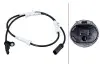 BMW Датчик ABS задн. 5 (G30, F90), 7 (G11, G12), 8 Купе (G15, F92) HELLA (6PU358218111) изображение 1